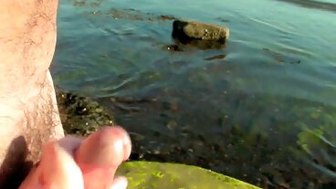 Brattysis: 나는 Jazmin Luv와 함께 PornHD에서 발렌타인 데이에 실수로 내 의붓 형제를 망쳤습니다.