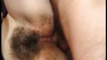 통통한 병아리 시작 a 형사 다이어트